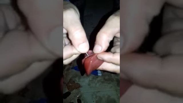 Мастер класс. как правильна насадить куриный печень на крючок. смотреть онлайн