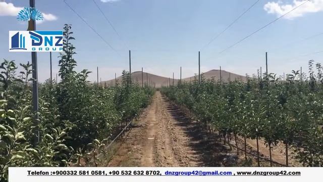 DNZ GROUP telli terbiye sistemi - Новое поколение конструкции для интенсивных садов смотреть онлайн