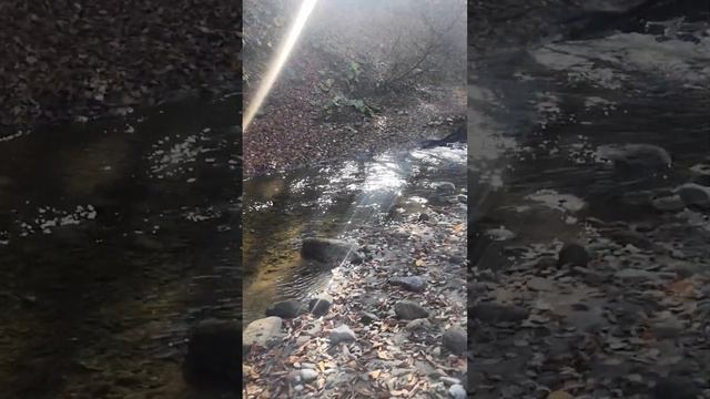 Солнце,горы и вода ,ну и лес тоже)) смотреть онлайн