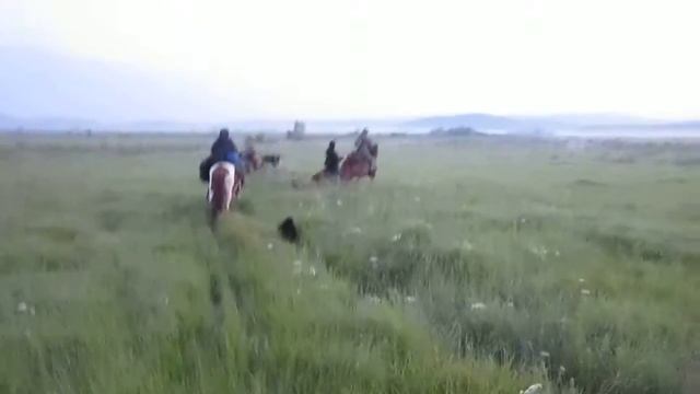 Саранакан 2014 конный поход 12-13 июля 2014 (начало, 5-30 утра) смотреть онлайн