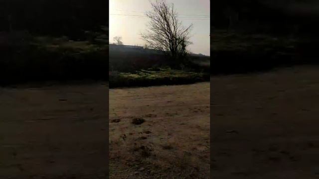 Газ 53 смотреть онлайн