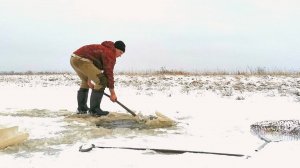ЧЕРПАЕМ КАРАСЕЙ ИЗ ЛУЖИ.ЗАПАСАЕМ ЖИВЦОВ НА ЗИМУ