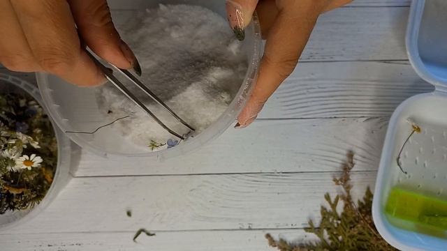 Сушка в крупной соли и манной крупе. #сухоцветы #гербарий #смола #эпоксиднаясмола #botanicalart