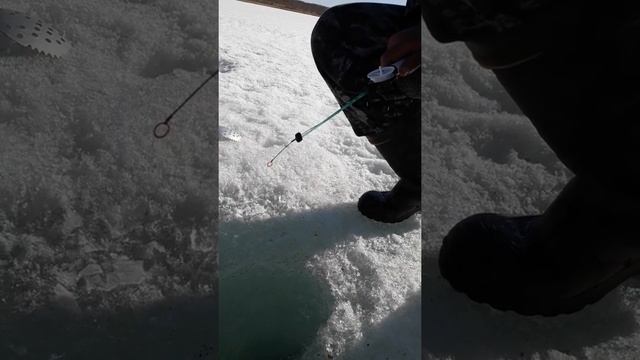 Рыбалка на оз. Шакша. смотреть онлайн
