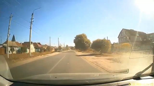лось в Борисоглебске смотреть онлайн