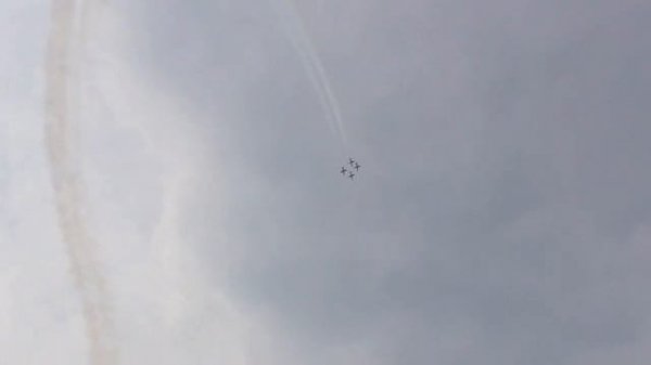 Прибалтийские пчёлы