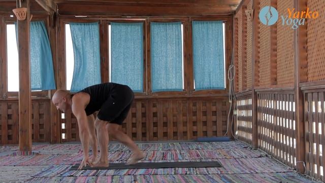 Йога для чайников - Йога для начинающих Ярослав Лукашевич смотреть онлайн