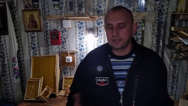 МАТКОВОДСТВО качество пчеломаток 2 смотреть онлайн