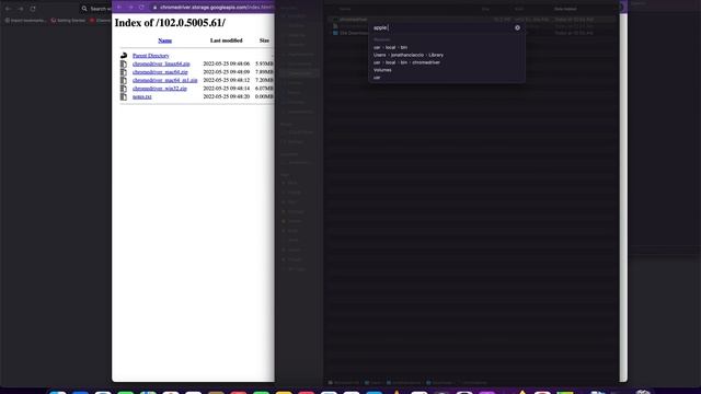 Selenium Python Tutorial - How to install Chrome Driver on Mac OSX смотреть онлайн