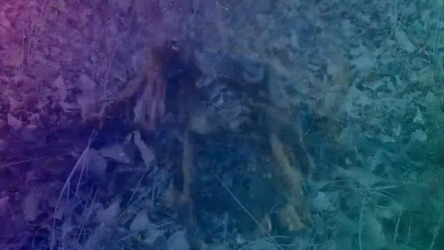 Ушла любовь Муз Н Первиной,ст Н Марченко,поет Г Погорельская 2018 смотреть онлайн