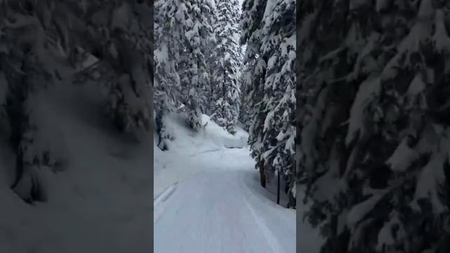 ВЬЮГА, ВЬЮГА! смотреть онлайн