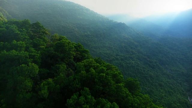 Футаж 4k: Лайк поста | Instagram Promo - Футаж в 4К разрешении смотреть онлайн