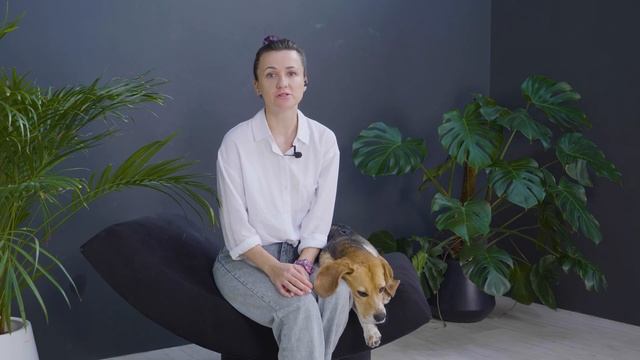 Из чего состоит МЕНТАЛЬНОЕ ЗДОРОВЬЕ СОБАКИ? Основы здоровой психики Псё смотреть онлайн