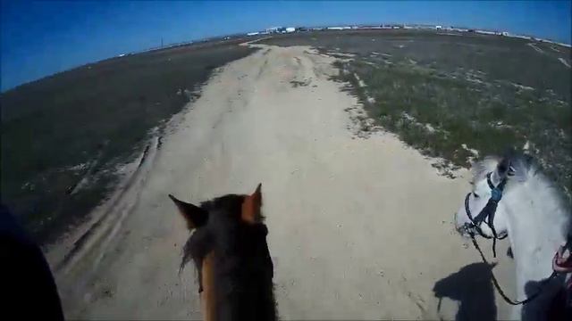 VLOG: Без седла по степи ... смотреть онлайн