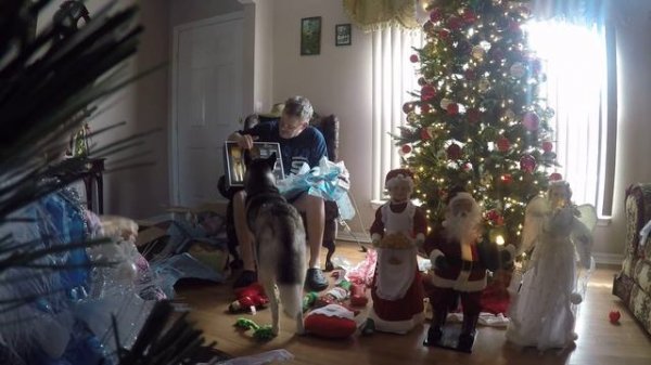 310.США.ОТКРЫВАЕМ РОЖДЕСТВЕНСКИЕ ПОДАРКИ )) Lyubov Reed