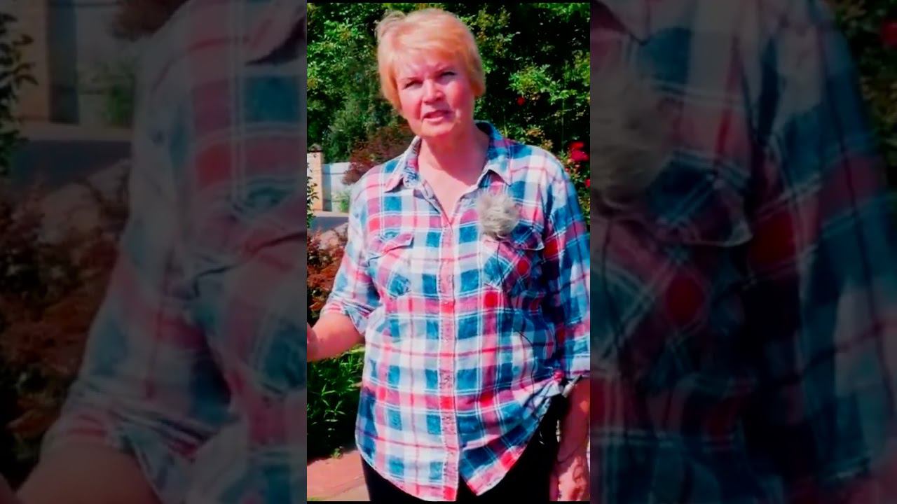 флорибунда 1 смотреть онлайн