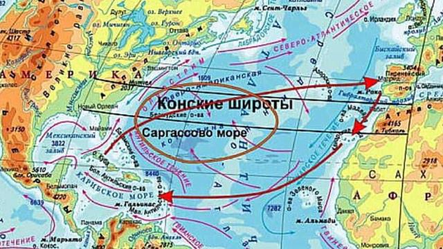 Почему Моряки раньше выловленную рыбу сами не ели и даже брезговали? смотреть онлайн