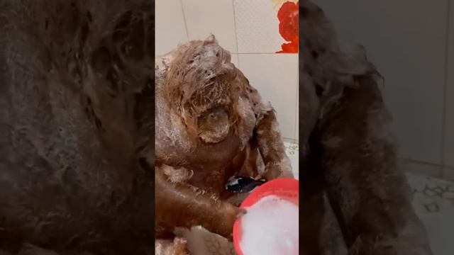 ОБО ВСЕМ  и  НИ О ЧЕМ