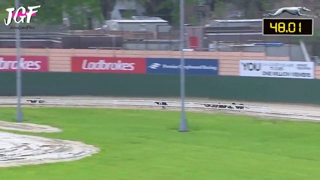 Greyhound Racing Marathon 875m ??? смотреть онлайн
