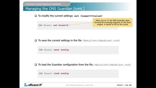 DNS guardian смотреть онлайн