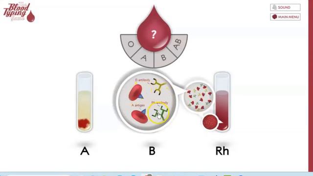 Қан топтары, Қан құю смотреть онлайн