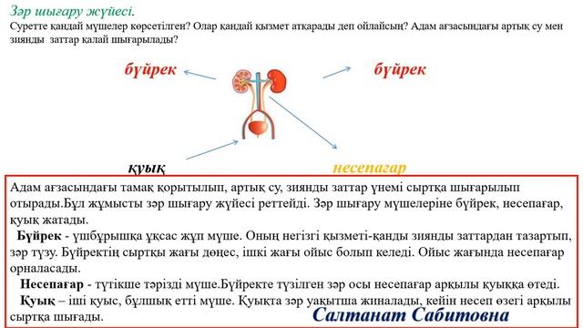4 сынып жаратылыстану 17 сабақ Зәр шығару жүйесі қалай жұмыс істейді смотреть онлайн