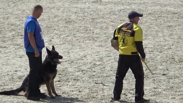 2023 IGP CACT Russia 18 Павел Зоркин и Iwarshohe Alonso (GSD) С92 смотреть онлайн
