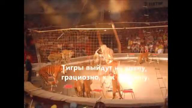 Хильченко Светлана Николаевна смотреть онлайн