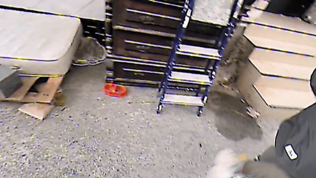 Мудрый Дуб 3,часть 2