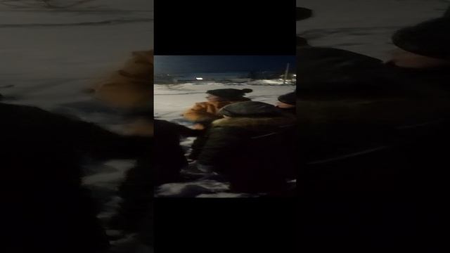 ДИВИС БРАТАНОВ смотреть онлайн