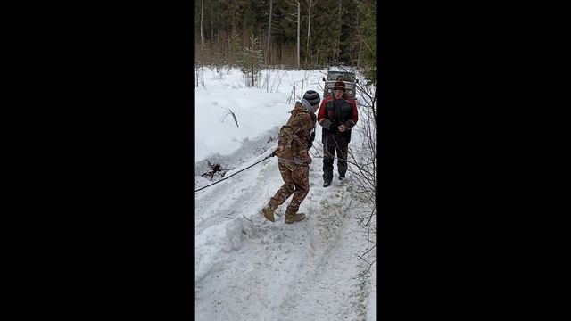 Стоять! Куда поехал? смотреть онлайн