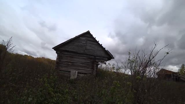 Копаем с подписчиком в старой деревне Татарстана. 4К видео. смотреть онлайн