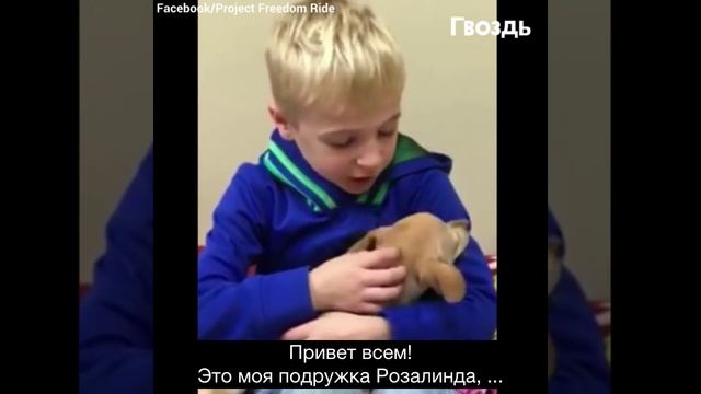 В 4 года мальчик попросил у мамы денег. То, что он сделал, поразило всех... смотреть онлайн