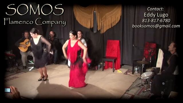 Somos 8 3, Tangos solo clip 01 смотреть онлайн