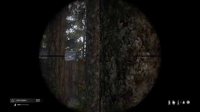 DayZ Francotirador M70 Tundra смотреть онлайн