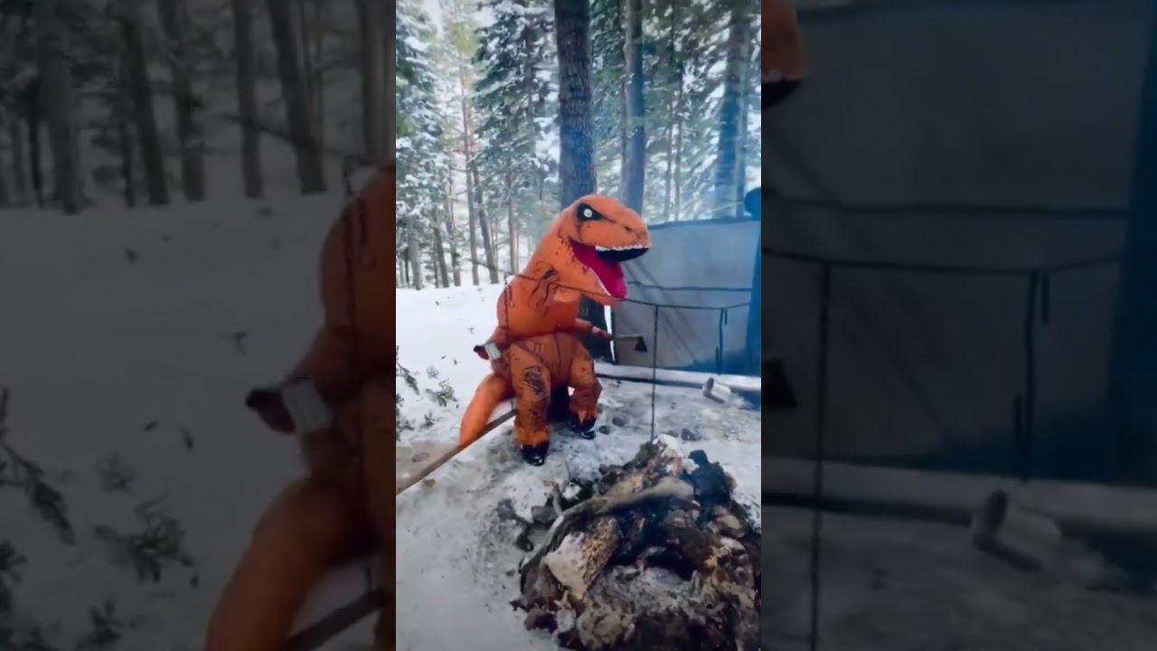 Всем отличных и веселых выходных #shorts #выходныевсочи #лазаревскоеонлайн #лазаревское #новостисочи смотреть онлайн