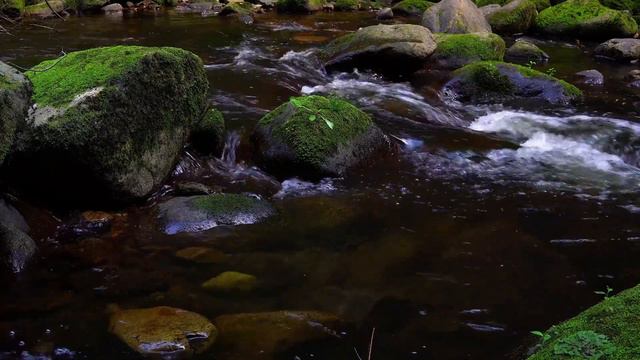 RELAXING REGGAE WITH WATERFALL  Instrumental Beat  Sleep Relax Study Meditation. Relax now