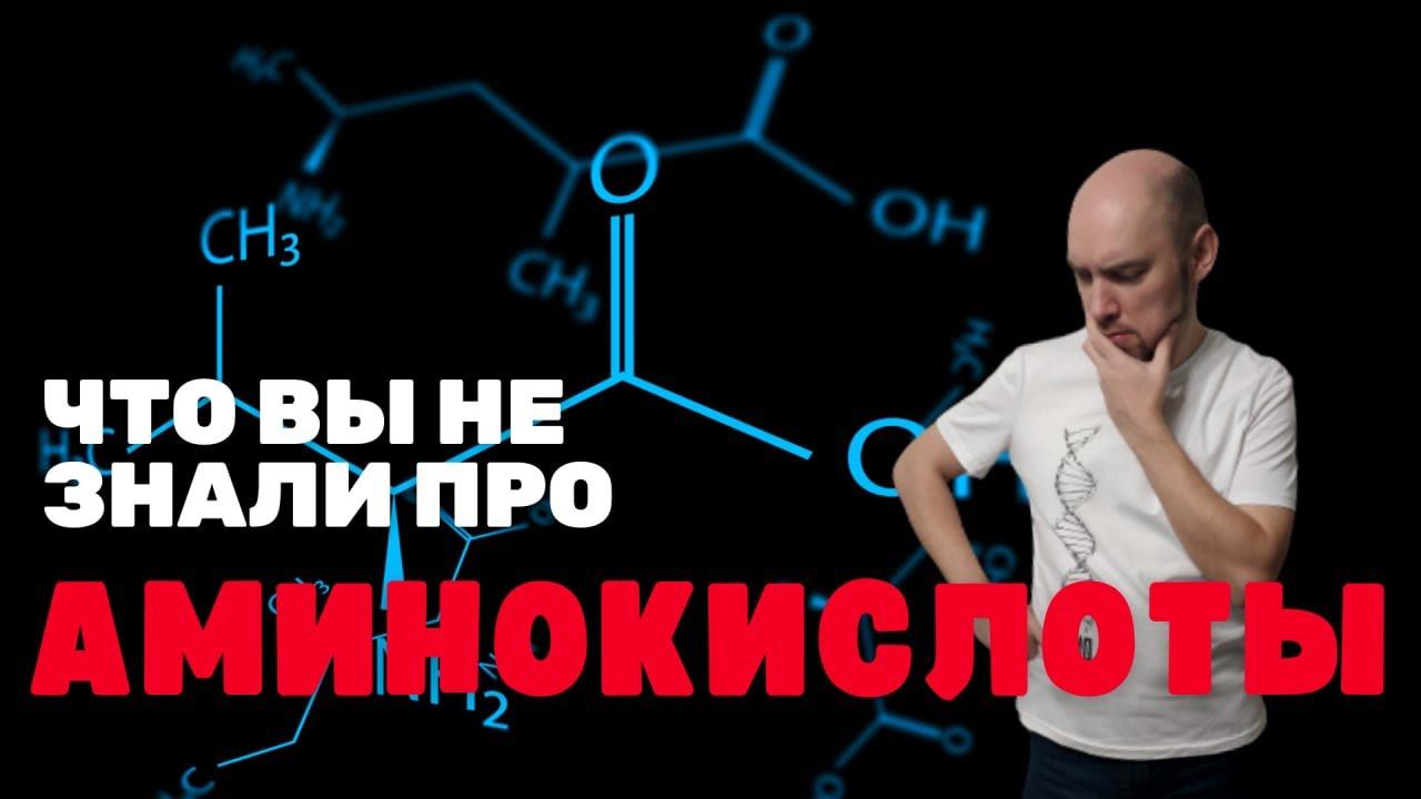 Что такое аминокислоты? Душкин объяснит смотреть онлайн