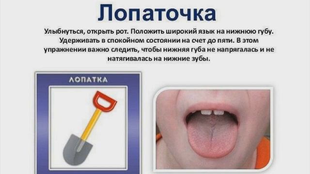 Артикуляционное упражнение Лопатка. Лопатка логопедическое упражнение для языка. Детский логопед. смотреть онлайн