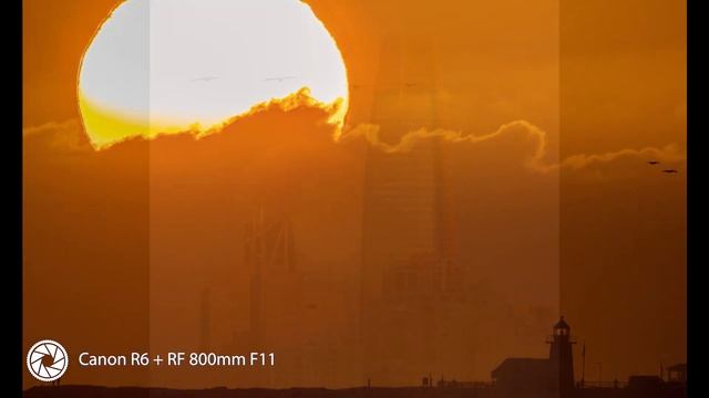 Canon R6 + RF800mm F11 IS STM