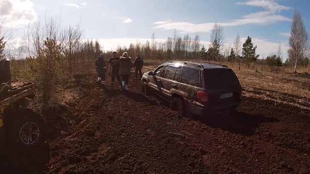 Если что березы есть смотреть онлайн