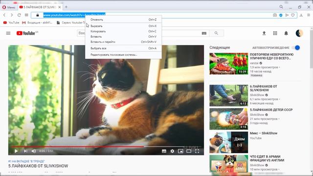 Как посмотреть теги на youtube | Как узнать теги на ютубе смотреть онлайн