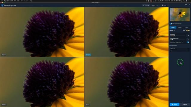 TOPAZ (Sharpen and Noise Removal Workflow): DENOISE AI or SHARPEN AI 1st? Does it even matter? смотреть онлайн