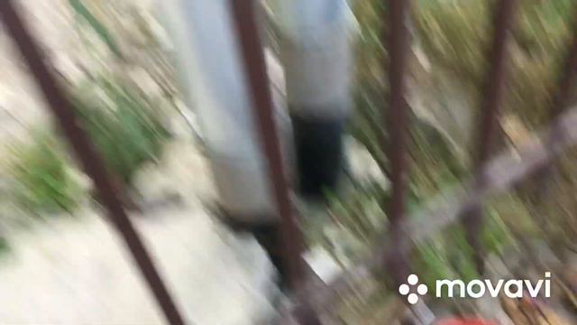 🌴вместе наводим порядок-мы жильцы и Шишко Сергей С. дир УК Жилфонд ул.Камо,70 г.Сочи☀️ смотреть онлайн