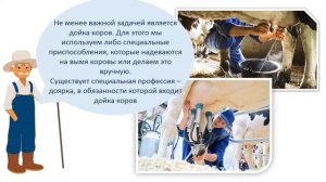 Виртуальная экскурсия на ферму (Знакомство с профессией - Фермер)