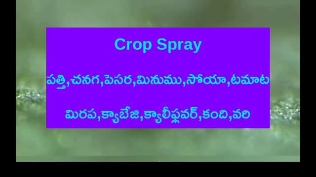 Bayer Spintor Insecticide || смотреть онлайн