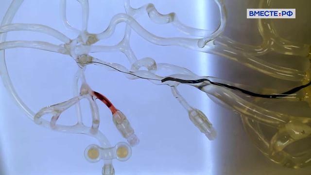 Кольцово. Наукограды