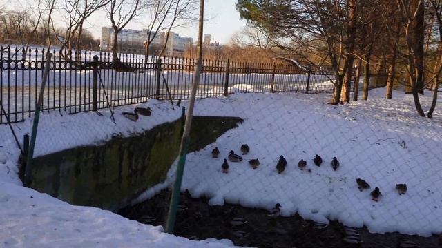 Собор Петра и Павла ⚜️ любительская съёмка на Sony ZV E10 смотреть онлайн