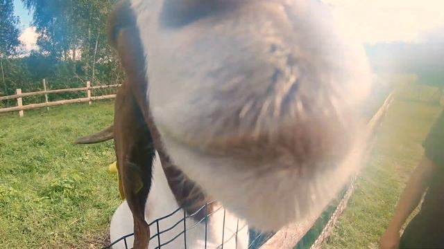 Trip To Ignalina 2021 смотреть онлайн