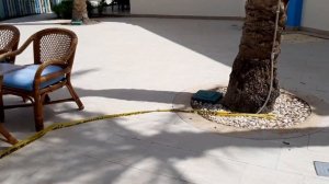 Обзор отеля Sierra Resort Sharm ч.1 (территория, развлечения, сервис) Premium all inclusive-реально